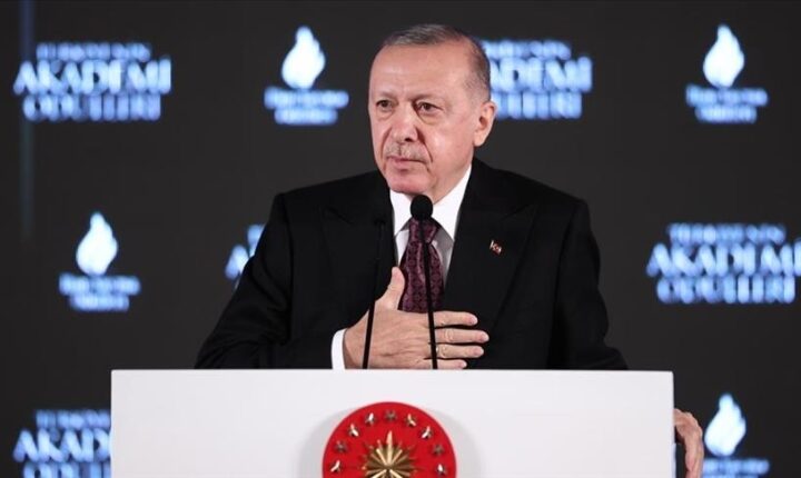 أردوغان: الاقتصاد التركي سيواصل طريقه وفق قواعد السوق الحر
