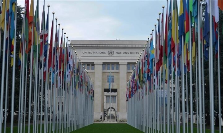 الأمم المتحدة: نقف ضد أي انتقال غير ديمقراطي للسلطة في أي دولة