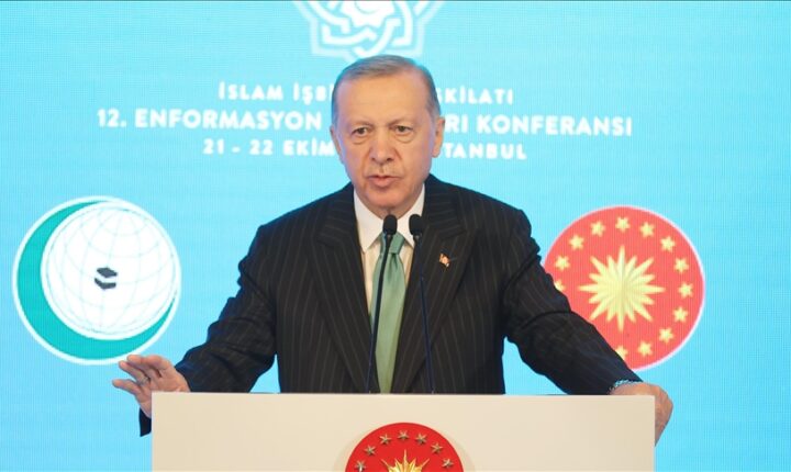 أردوغان: لافارج الفرنسية باتت مكشوفة للعيان كمؤسسة داعمة للإرهاب