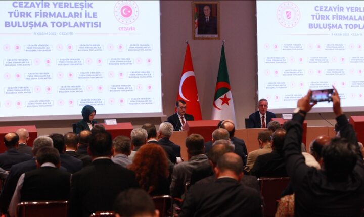 وزير تركي: أنقرة ستبرز كشريك وطريق آمن للموارد الطبيعية المتجهة لأوروبا