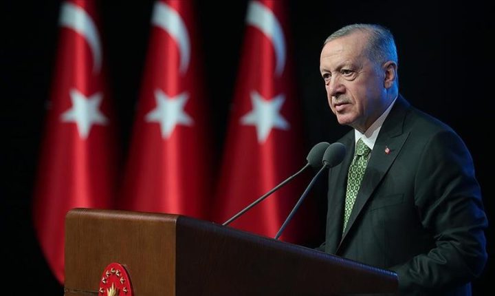 أردوغان يشيد بجهود ترامب لوقف إراقة الدماء في غزة