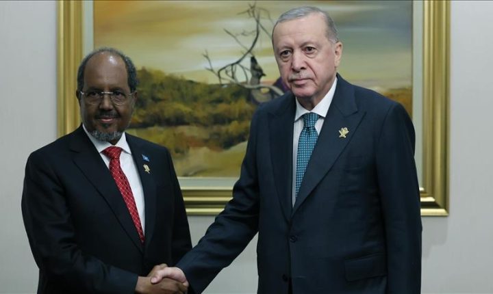 الرئيس أردوغان يلتقي نظيره الصومالي في الدوحة