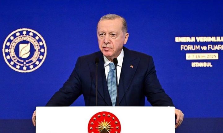 أردوغان: تركيا في مقدمة الدول المستثمرة بالطاقة الخضراء