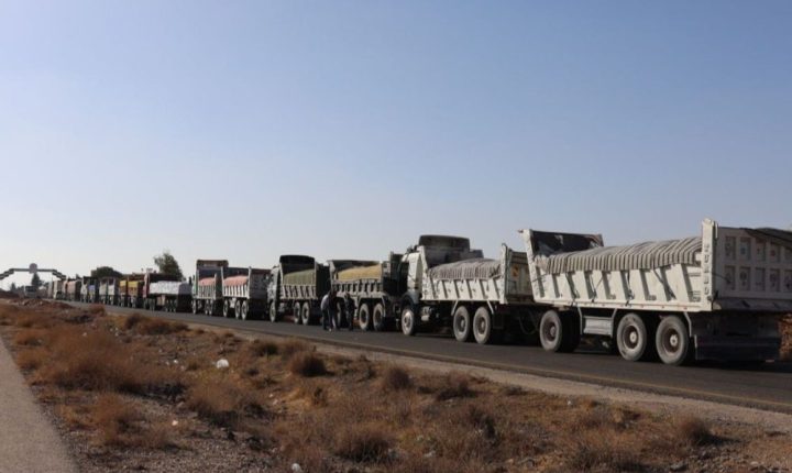 خمسون شاحنة غذاء ومواد بناء تدخل محافظة السويداء