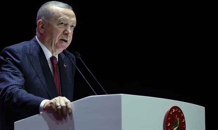 أردوغان: لن نتخلى أبدا عن القبارصة الأتراك