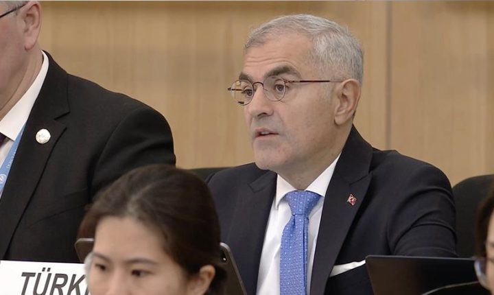 تركيا تدعو إلى وقف فوري للقتال في الفاشر ومحيطها بالسودان