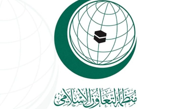 وفد اقتصادي يزور تركيا لتعزيز الروابط التجارية مع دول منظمة التعاون الإسلامي