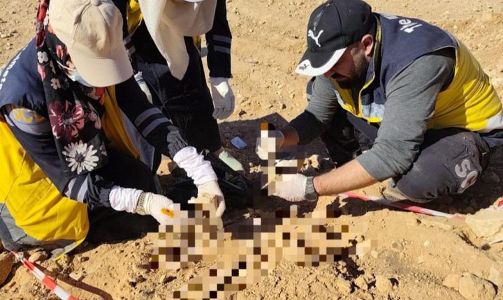 العثور على رفات بشرية في موقع أثري بريف حماة الشرقي