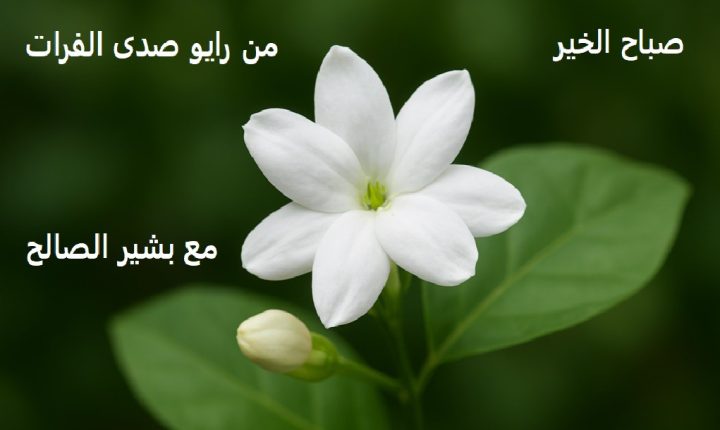 صباح الخير من صدى الفرات – إعداد و تقديم بشير الصالح – الوطن