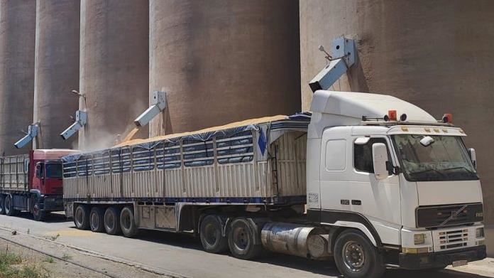 وصول أكثر من مئةٍ و أربعة و ثلاثين ألف طن قمح قادمة من روسيا وأوكرانيا إلى مرفأي اللاذقية و طرطوس