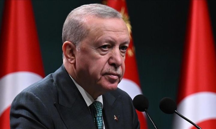 أردوغان يبحث مع الرئيس النيجري العلاقات الثنائية وقضايا إقليمية