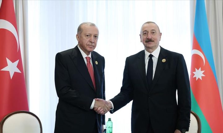أردوغان يبلغ علييف دعمه لعملية السلام بين أذربيجان وأرمينيا