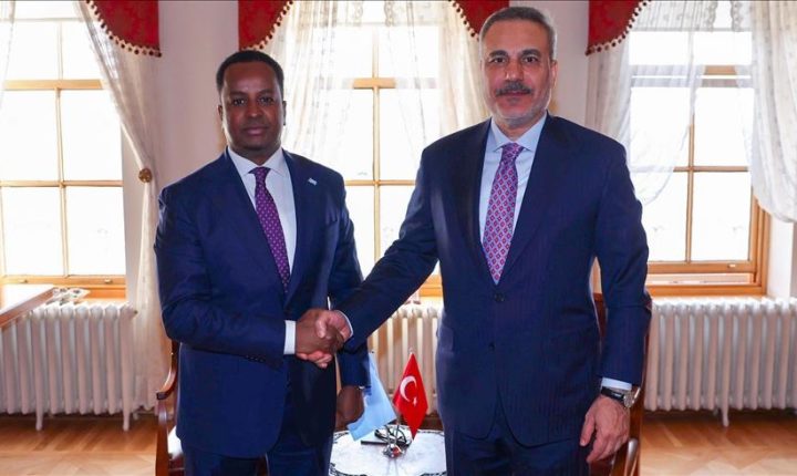 وزير الخارجية التركي يلتقي نظيره الصومالي في إسطنبول