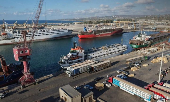 قرار بإيقاف استيراد بعض المنتجات الزراعية لحماية المنتج الوطني في سوريا