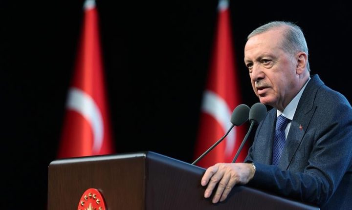 أردوغان: نناضل من أجل ترسيخ الاستقرار بالمنطقة وما بعدها