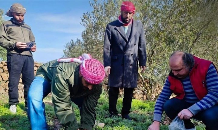 توغلات للاحتلال الإسرائيلي في ريف القنيطرة الجنوبي واستهداف للأراضي الزراعية