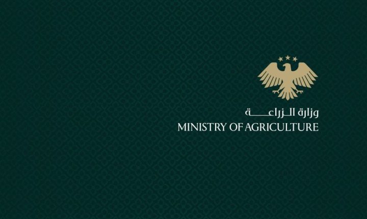 وزارة الزراعة السورية تؤكد سلامة قطاع الدواجن من الأمراض الموسمية