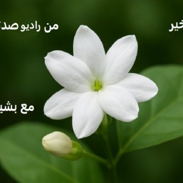 برنامج صباح الخير – علو الهمة – إعداد : بشير الصالح