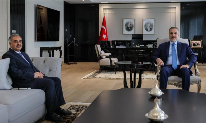 فيدان يلتقي الأمين العام لمجموعة الدول الثماني النامية