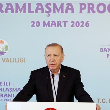 أردوغان: نحشد كل إمكاناتنا لتحقيق السلام والاستقرار بالمنطقة