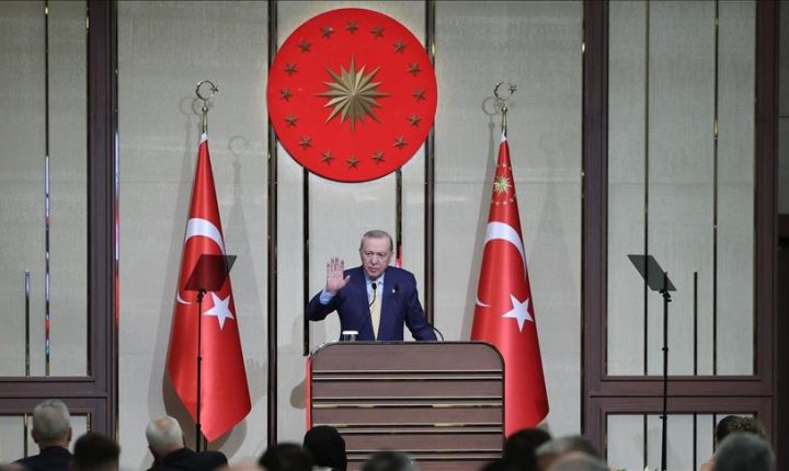 أردوغان: سنواصل جهودنا الدبلوماسية لوقف إراقة الدماء في المنطقة