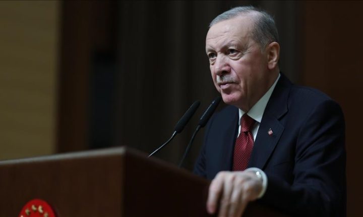أردوغان يؤكد أهمية الأمن السيبراني لتعزيز مكانة الدول