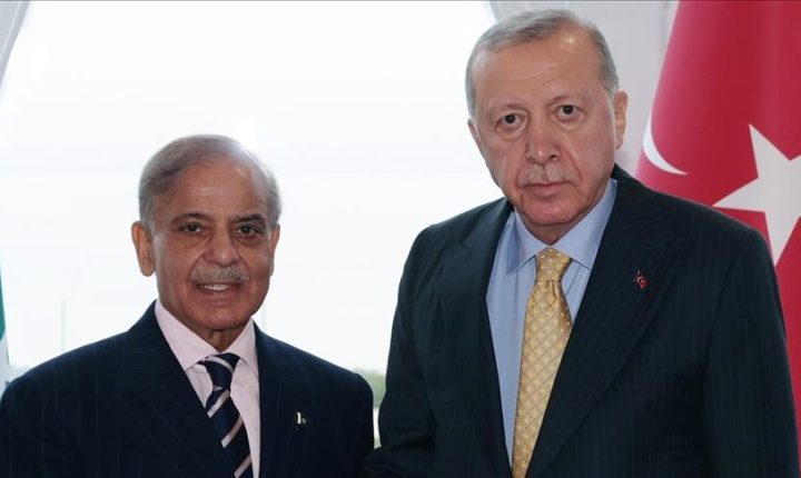 أردوغان يبحث مع رئيس الوزراء الباكستاني العلاقات الثنائية وقضايا إقليمية ودولية