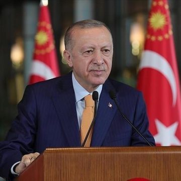 أردوغان: تركيا تحشد إمكاناتها لتجنب إراقة مزيد من الدماء بالمنطقة
