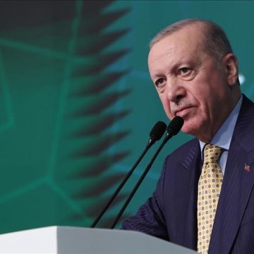أردوغان: أولويتنا الحفاظ على بلادنا بعيدا عن حفرة النار