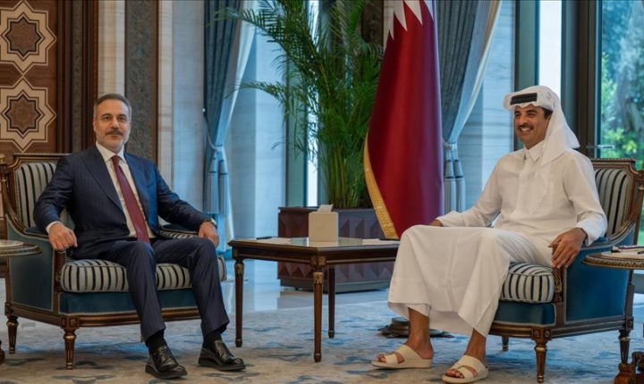 أمير قطر يستقبل وزير الخارجية التركي