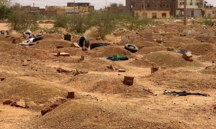 العثور على 9 جثث في مقبرة جماعية بريف الحسكة