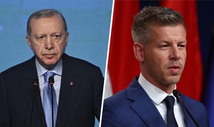 أردوغان يبحث مع رئيس الوزراء المجري المنتخب مستقبل العلاقات الثنائية