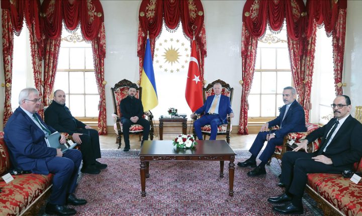 أردوغان وزيلينسكي يبحثان مساعي السلام بين روسيا وأوكرانيا