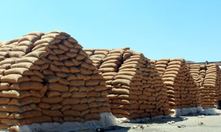 منصة إلكترونية جديدة لتنظيم استلام القمح في سوريا لموسم 2026