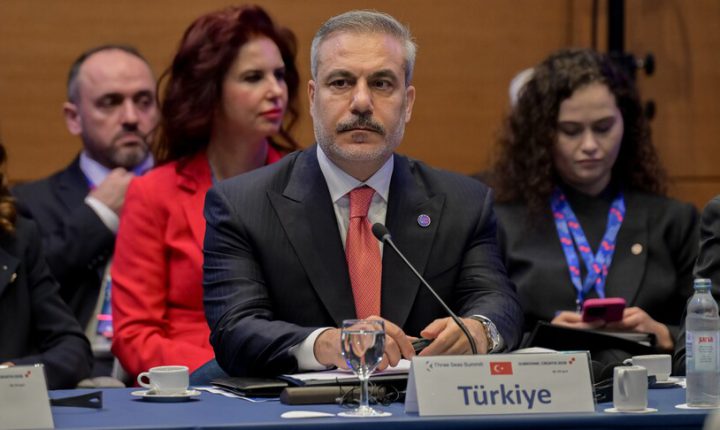 فيدان يشارك في القمة الـ11 لمبادرة “البحار الثلاثة” في كرواتيا