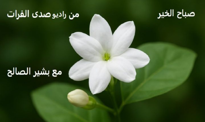 برنامج صباح الخير – إعداد و تقديم : بشير الصالح – العلم