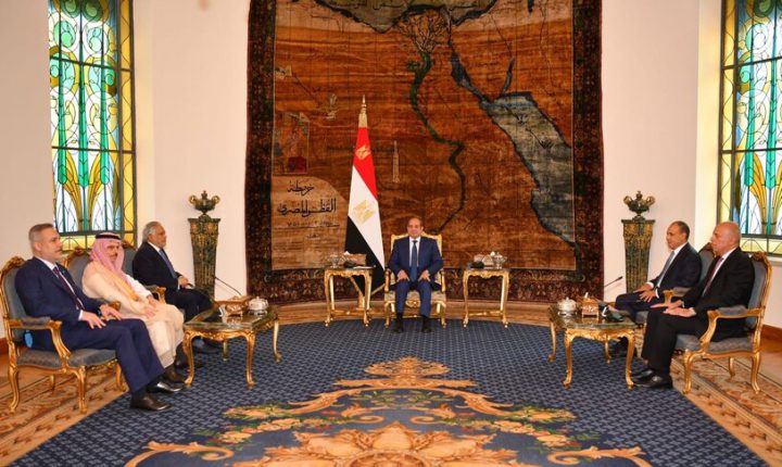 السيسي يدعو لتطوير آلية التشاور بين مصر وتركيا والسعودية وباكستان