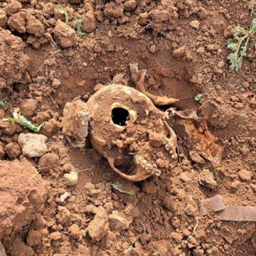 العثور على مقبرة جماعية بريف حماة تضم رفاتا يُعتقد أنها لثوار