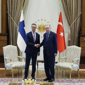 أردوغان ونظيره الفنلندي يبحثان العلاقات الثنائية وقضايا إقليمية ودولية