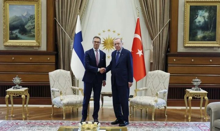 أردوغان ونظيره الفنلندي يبحثان العلاقات الثنائية وقضايا إقليمية ودولية