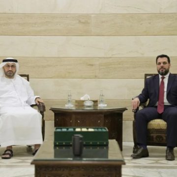 الخارجية تبحث مع سفير الإمارات تعزيز العلاقات والتعاون المشترك