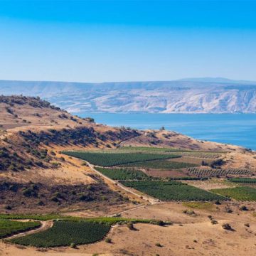 إدانات عربية و إسلامية للبيان الكولومبي بشأن الجولان السوري المحتل
