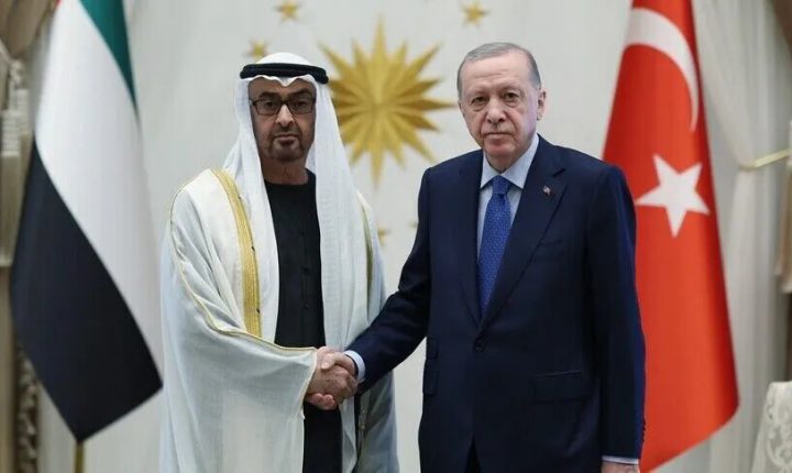الرئيسان التركي والإماراتي يبحثان العلاقات الثنائية والقضايا الإقليمية