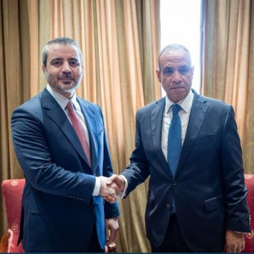 الشيباني يبحث تعزيز العلاقات مع مصر واليمن ويؤكد تمسك سوريا بالحل الدبلوماسي