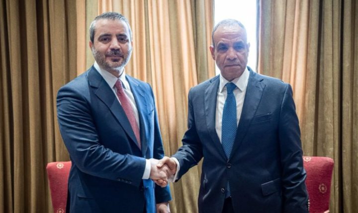 الشيباني يبحث تعزيز العلاقات مع مصر واليمن ويؤكد تمسك سوريا بالحل الدبلوماسي